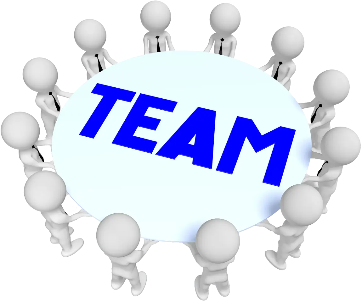 search engine optimization in tampa